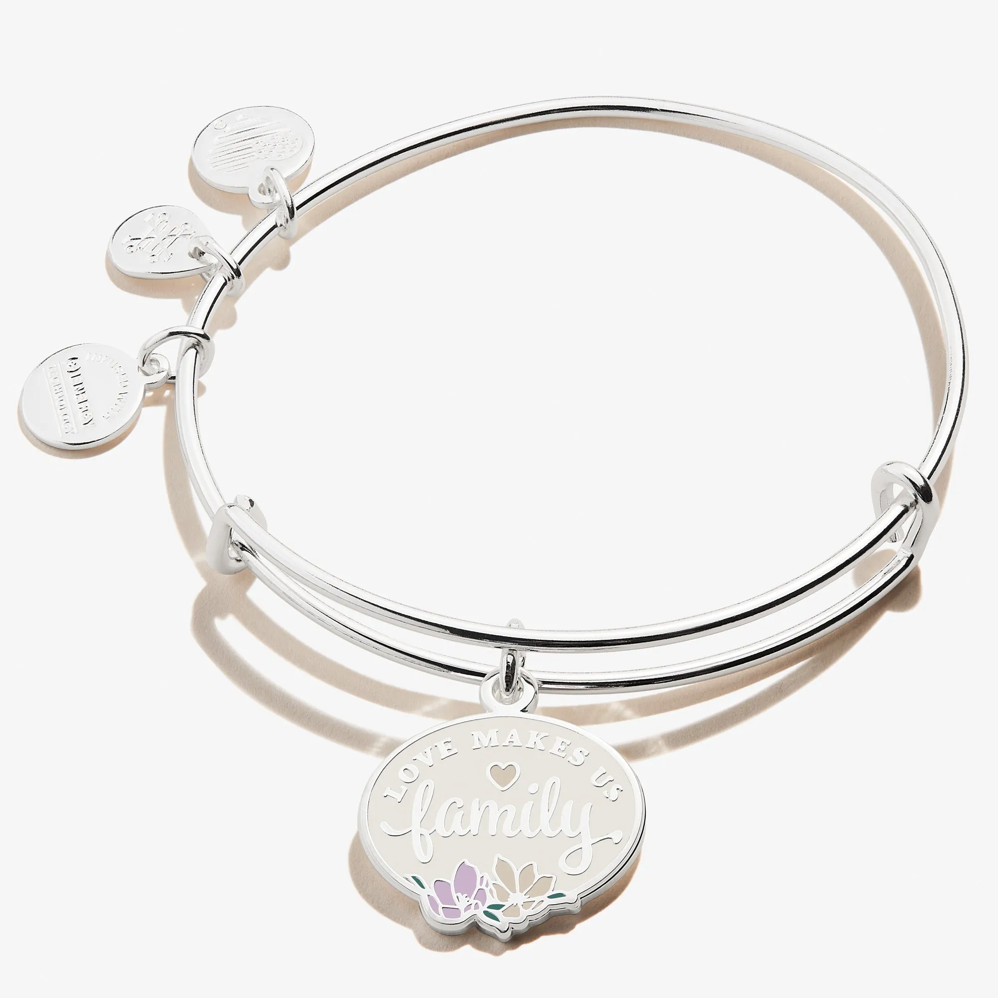 'Love Makes Us Family' Charm Bangle sold by Alex and Ani product image thumbnail 3