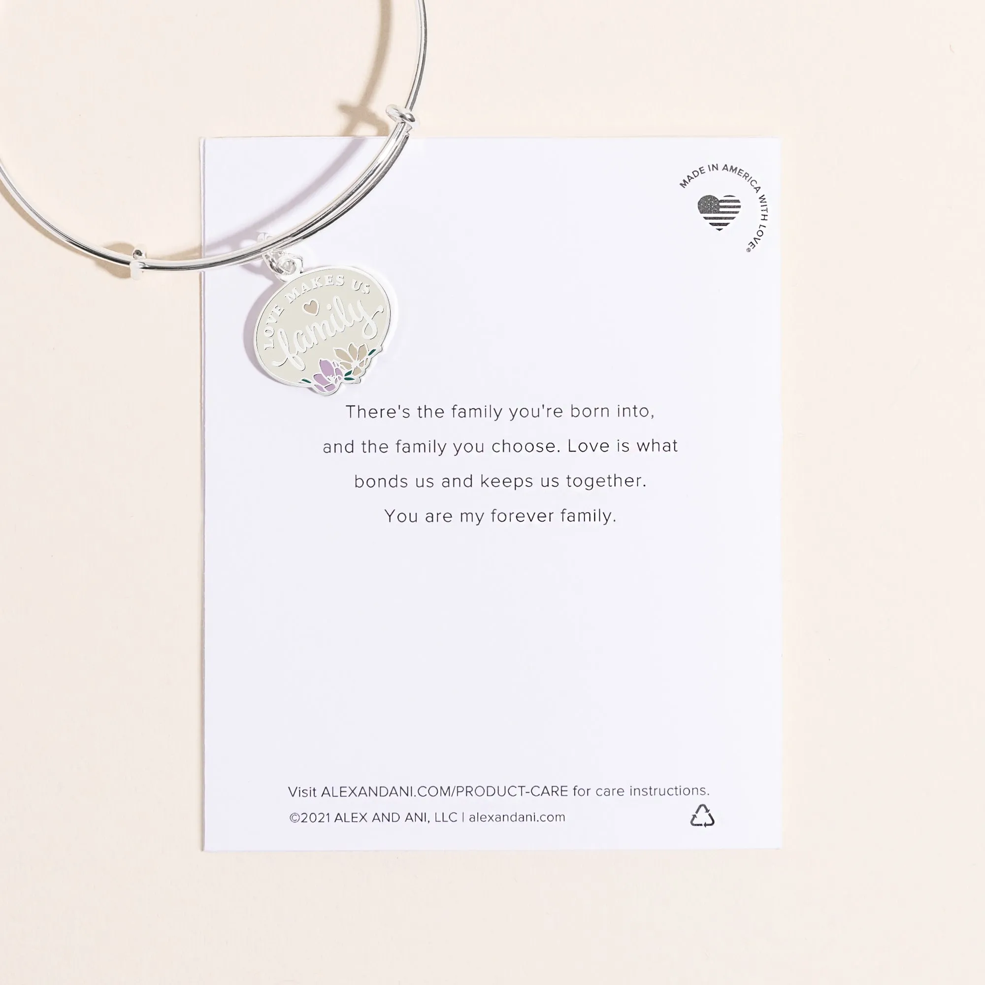 'Love Makes Us Family' Charm Bangle sold by Alex and Ani product image thumbnail 2