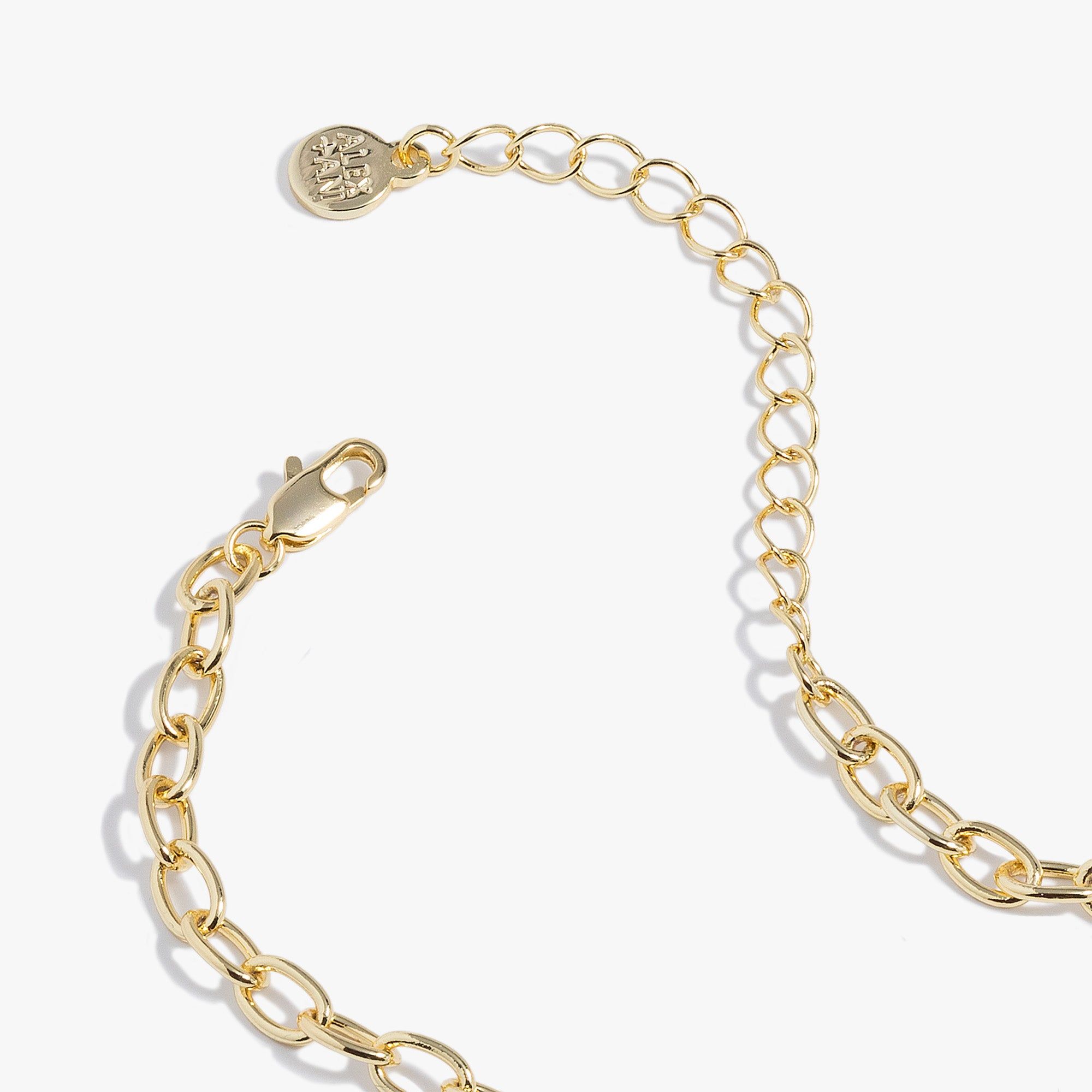 Divine Protection Charm Necklace sold by Alex and Ani product image thumbnail 3