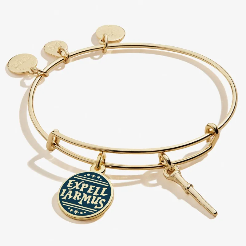 Harry Potter™ Expelliarmus Duo Charm Bangle sold by Alex and Ani