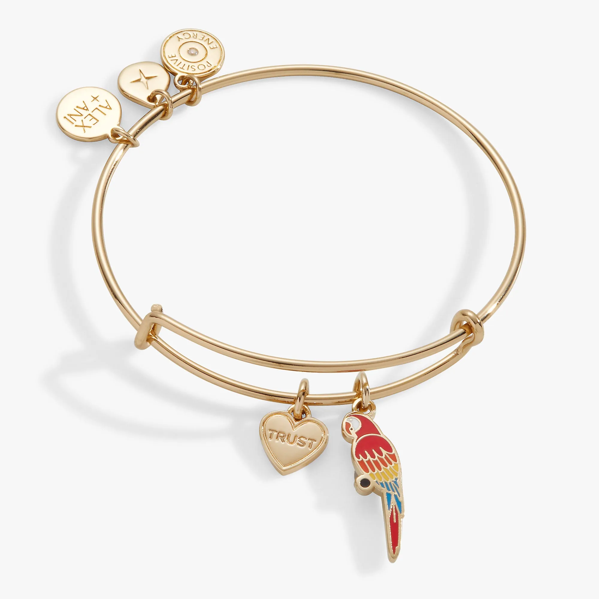 Trust Parrot Duo Charm Bangle sold by Alex and Ani