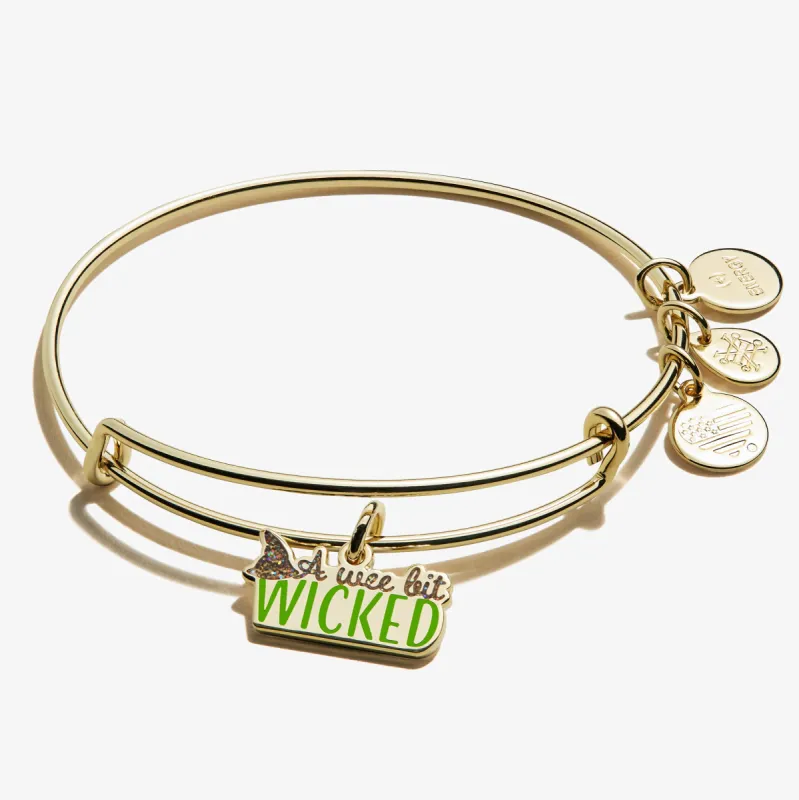 'A Wee Bit Wicked' Charm Bangle sold by Alex and Ani