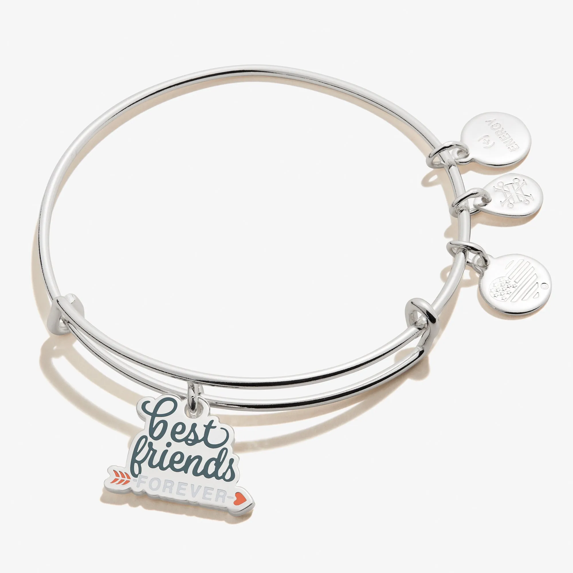 'Best Friends Forever' Charm Bangle sold by Alex and Ani