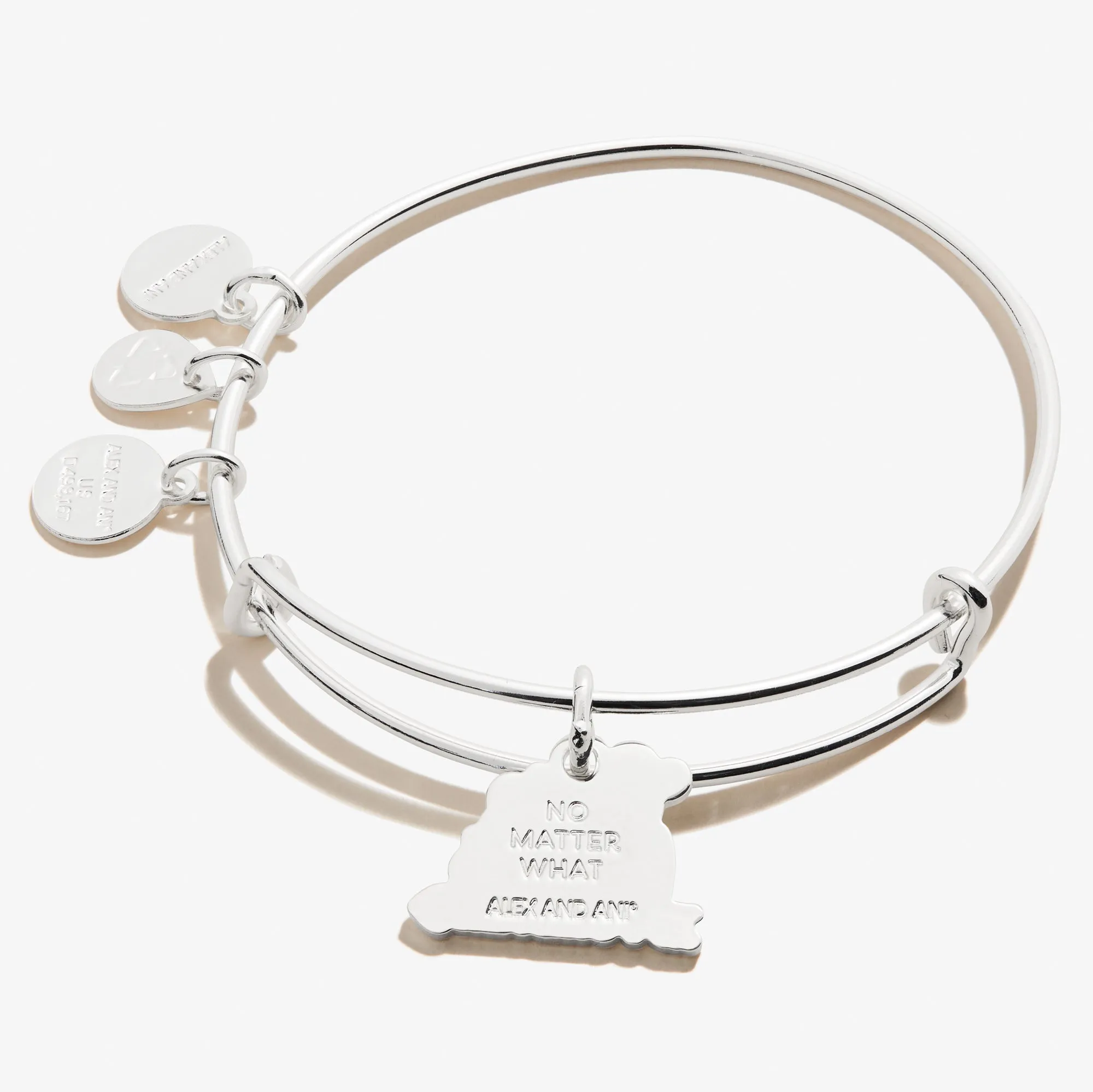 'Best Friends Forever' Charm Bangle sold by Alex and Ani product image thumbnail 3