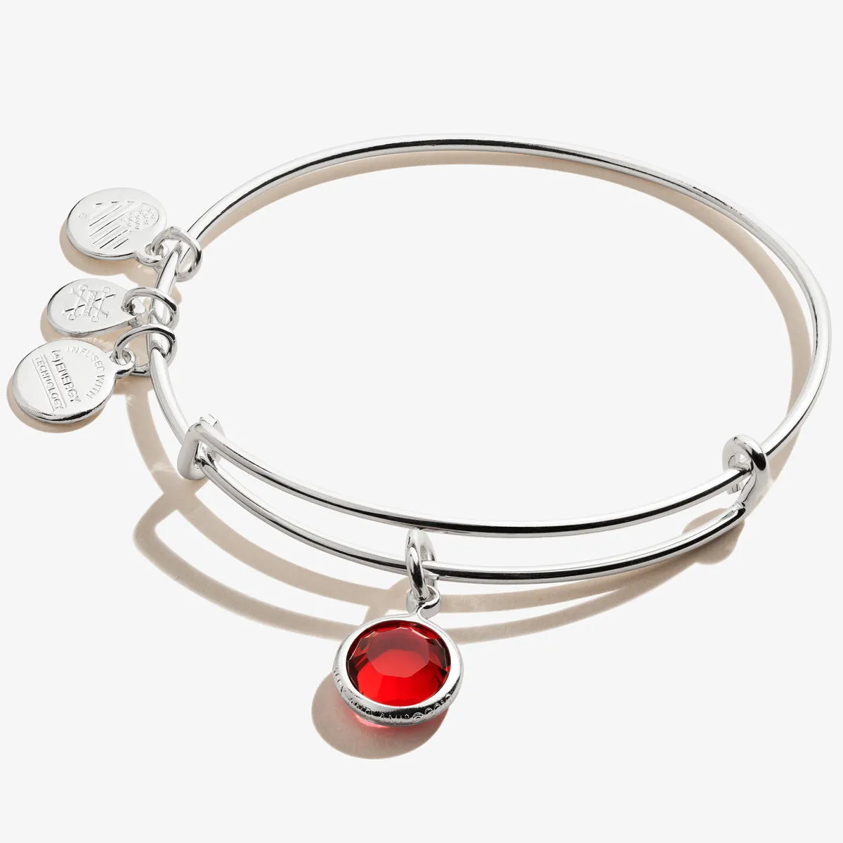 Scarlet Birthstone Charm Bangle, January sold by Alex and Ani