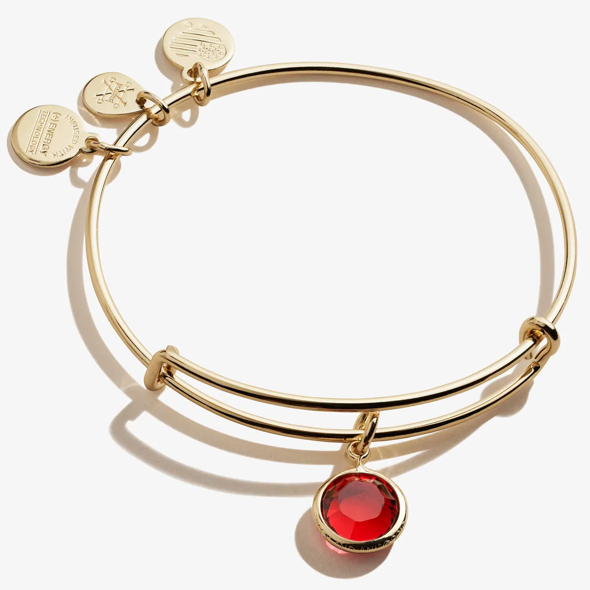 Scarlet Birthstone Charm Bangle, January sold by Alex and Ani product image thumbnail 2