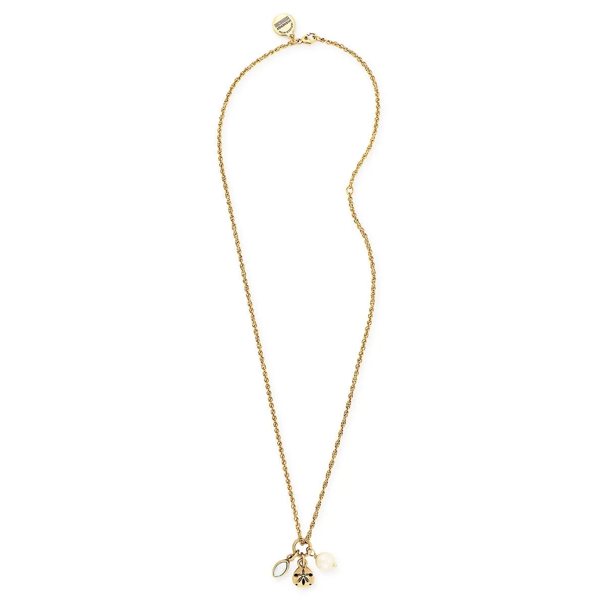 Sand Dollar Trio Charm Necklace sold by Alex and Ani product image thumbnail 2