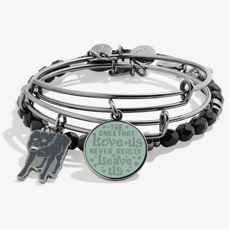 Harry Potter™ Sirius Black Charm Bangle Bracelets, Set of 3 sold by Alex and Ani
