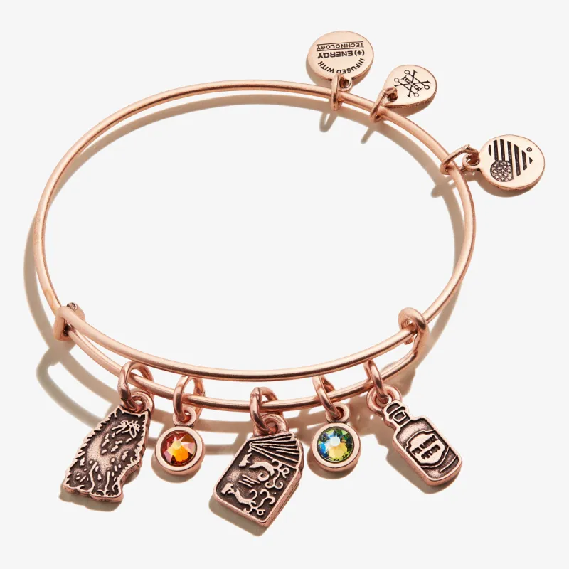 Harry Potter™ Hermione Multi-Charm Bangle sold by Alex and Ani