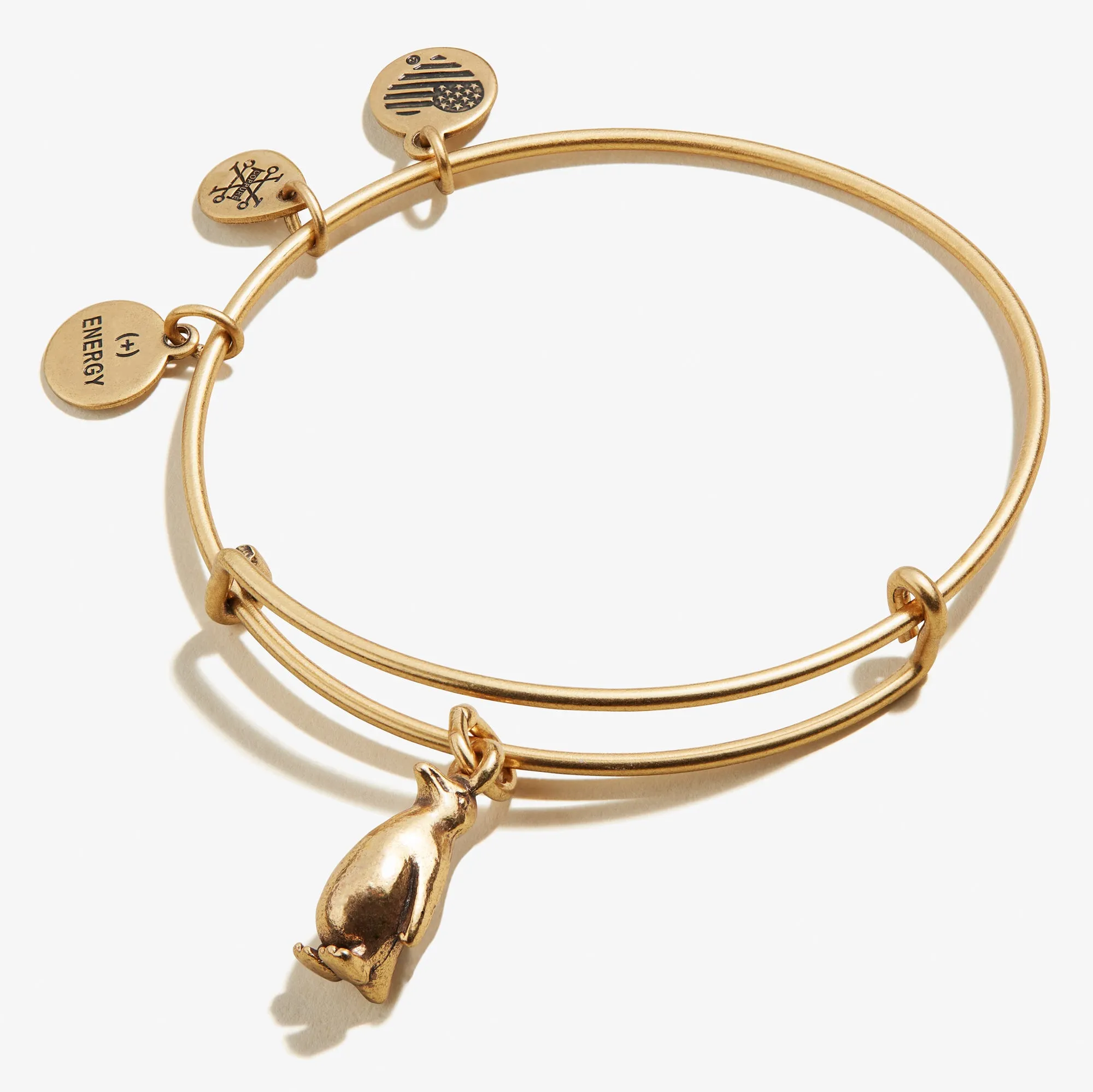 Penguin Charm Bangle sold by Alex and Ani product image thumbnail 3