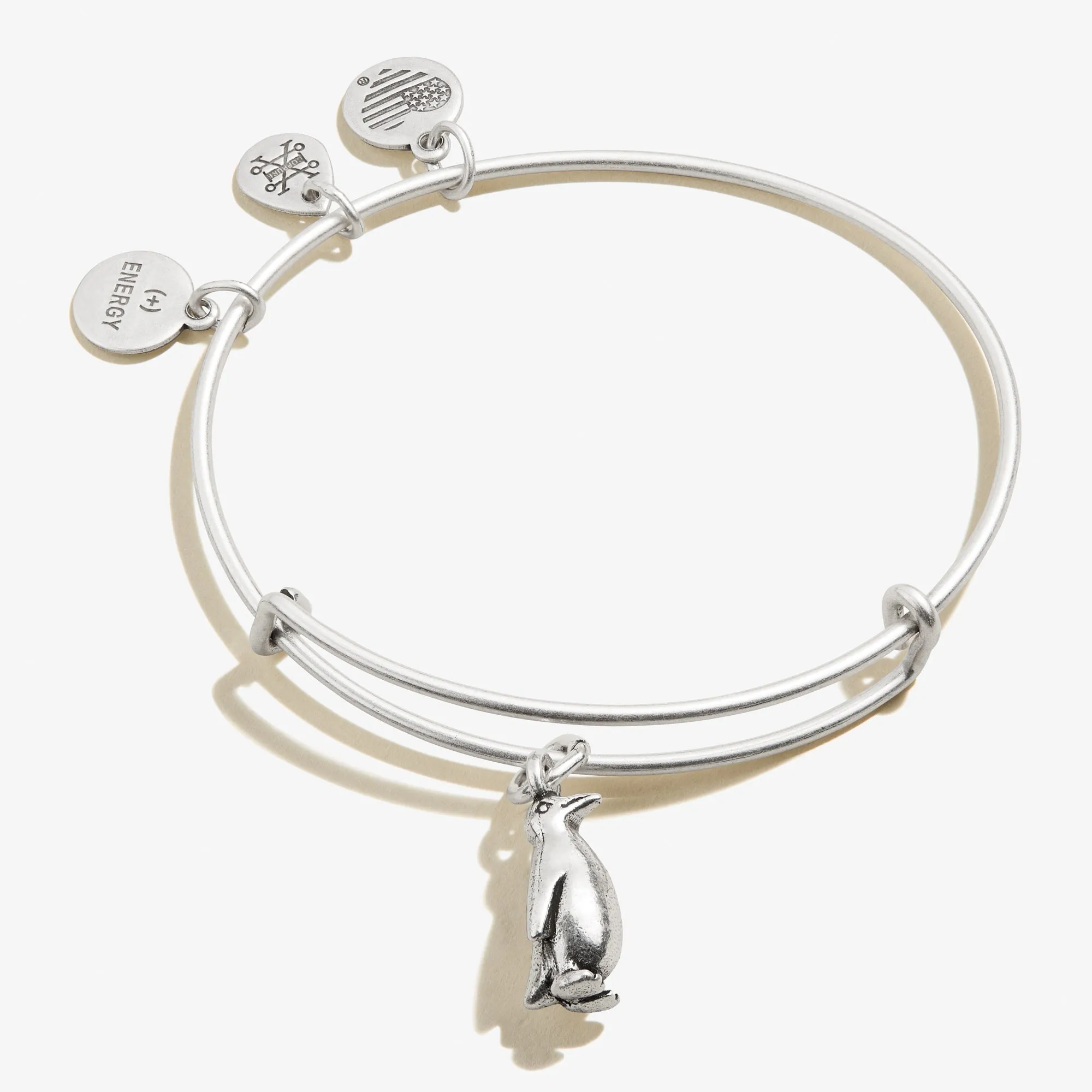 Penguin Charm Bangle sold by Alex and Ani