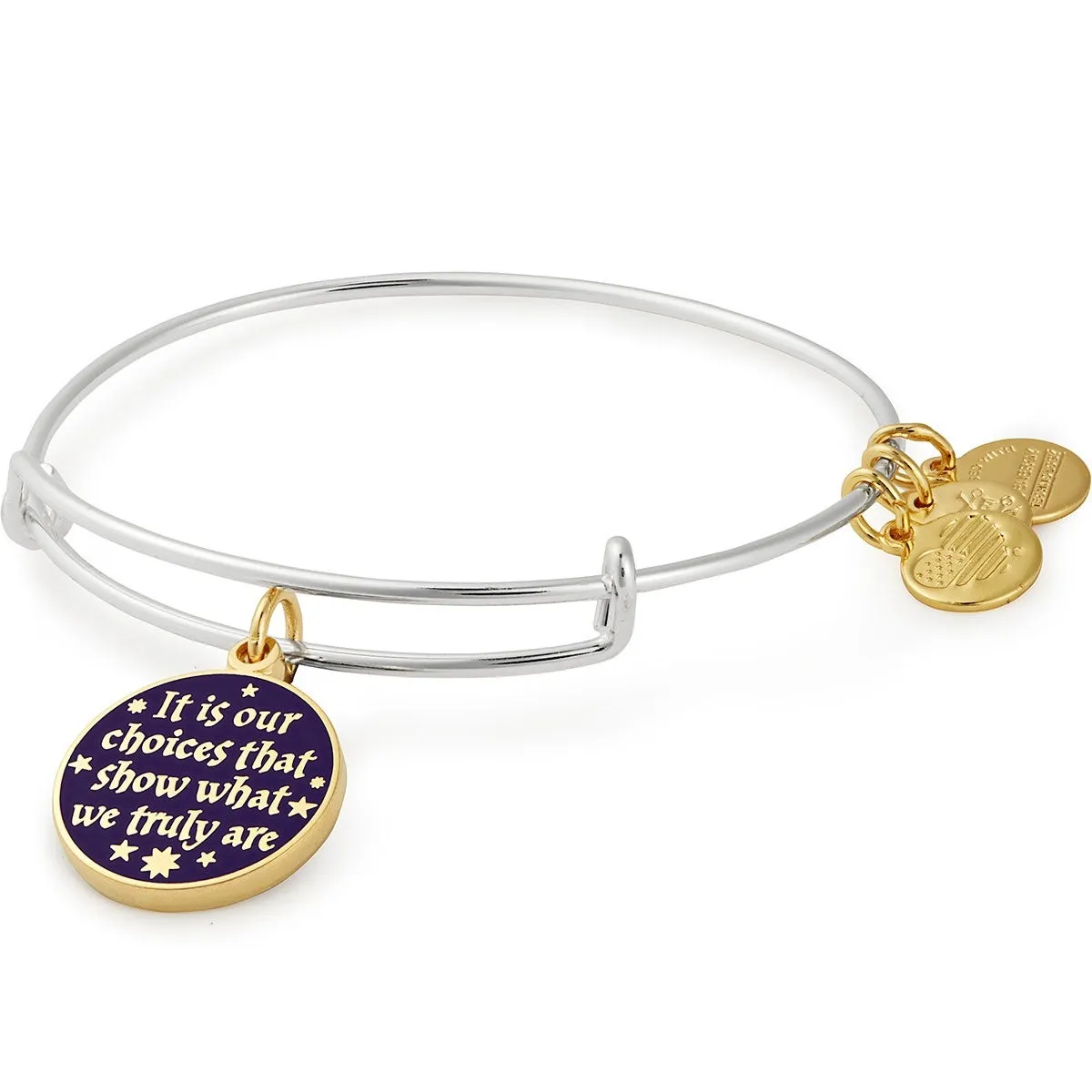 Harry Potter™ 'It's Our Choices' Charm Bangle sold by Alex and Ani