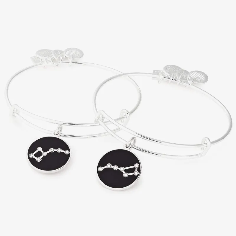 Big + Little Dipper Charm Bangles, Set of 2 sold by Alex and Ani