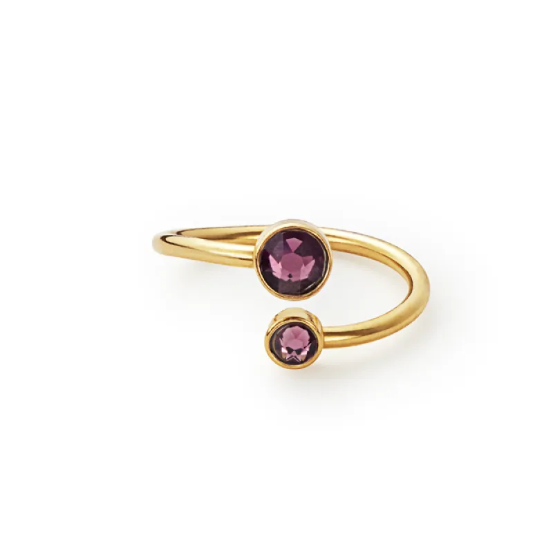 Amethyst Crystal Ring Wrap, February sold by Alex and Ani