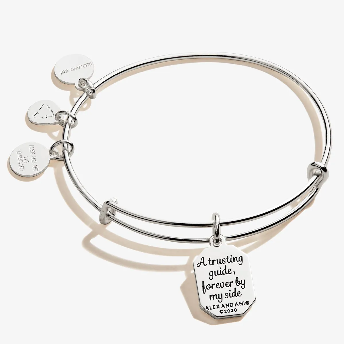 Aunt, 'Trusting Guide' Charm Bangle sold by Alex and Ani product image thumbnail 3