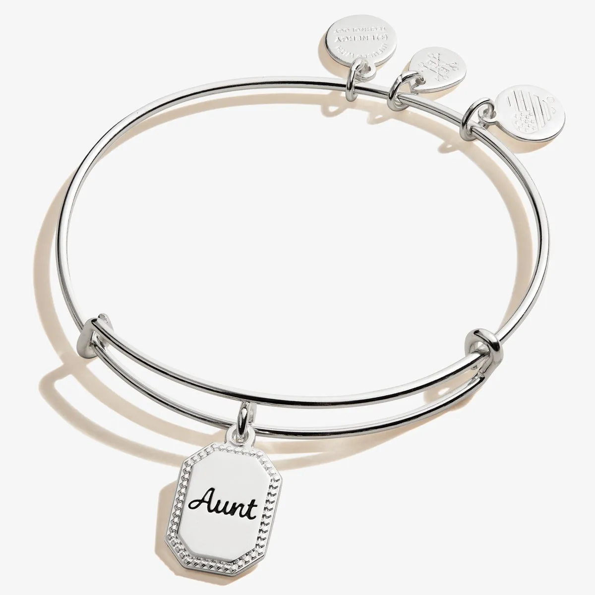 Aunt, 'Trusting Guide' Charm Bangle sold by Alex and Ani
