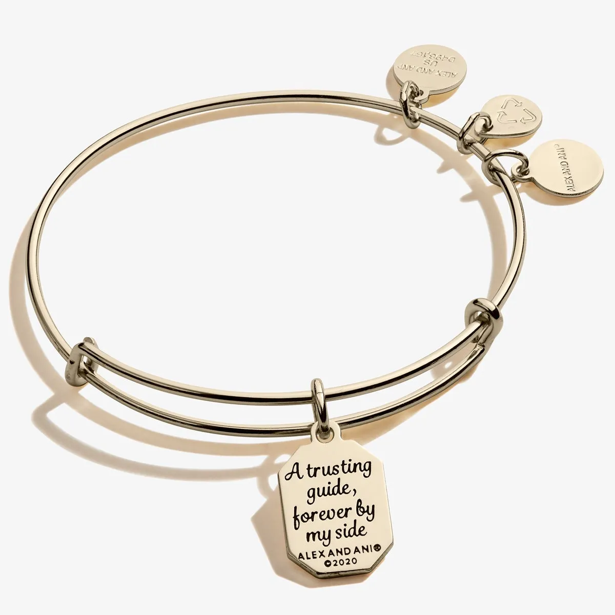 Aunt, 'Trusting Guide' Charm Bangle sold by Alex and Ani product image thumbnail 5