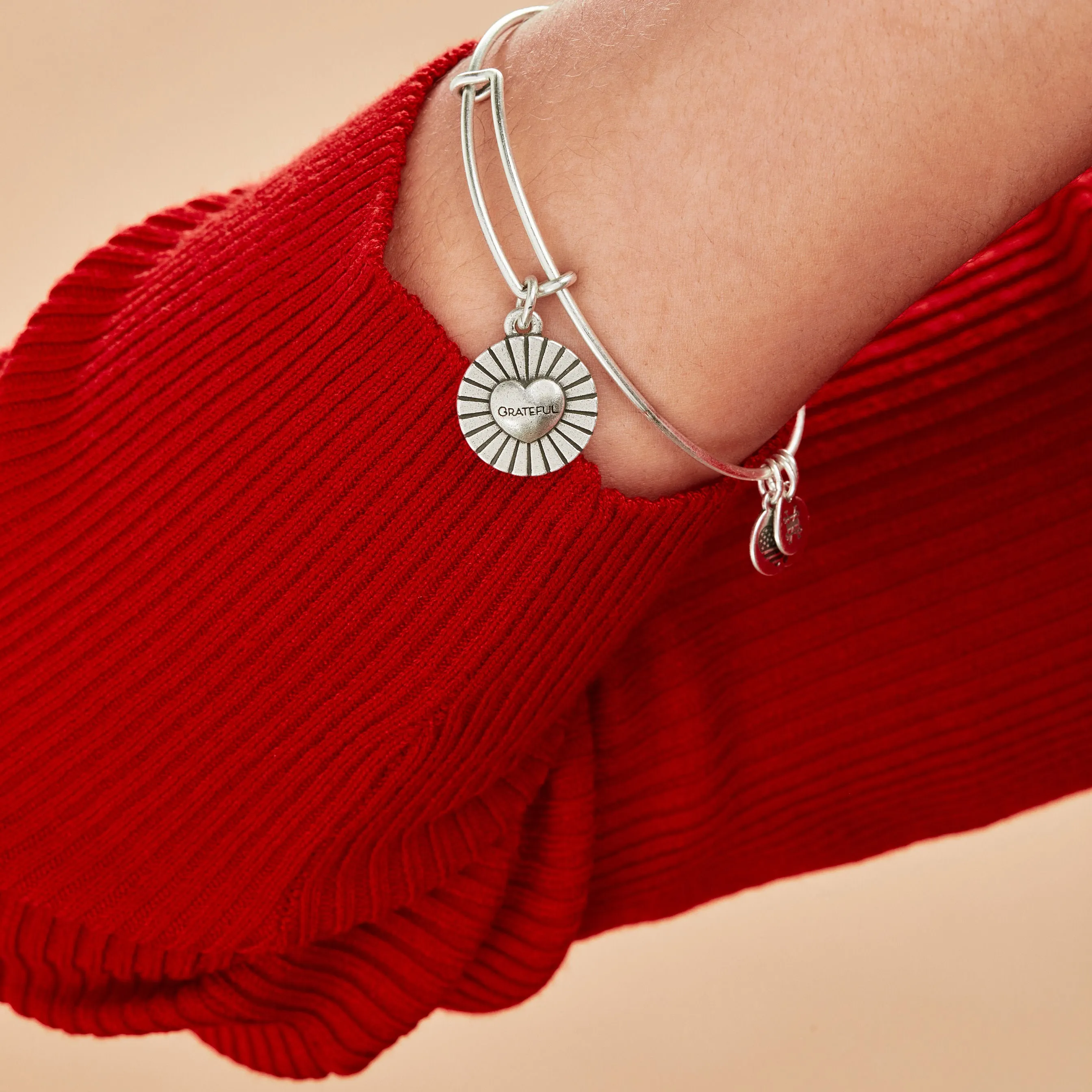 'Grateful' Heart Charm Bangle sold by Alex and Ani product image thumbnail 2