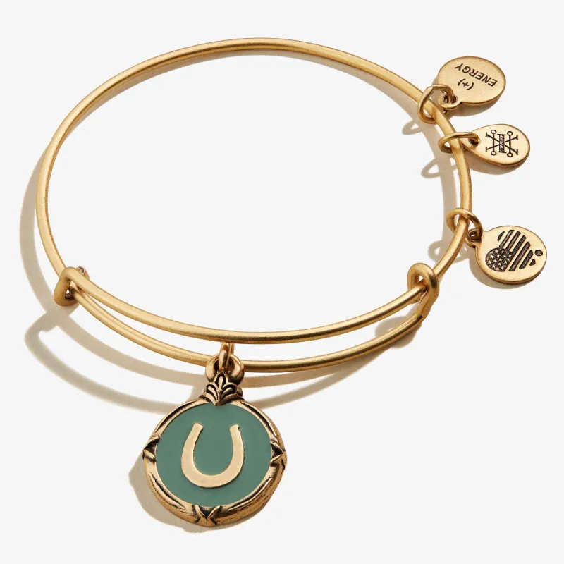 Token of Luck Horseshoe Charm Bangle sold by Alex and Ani