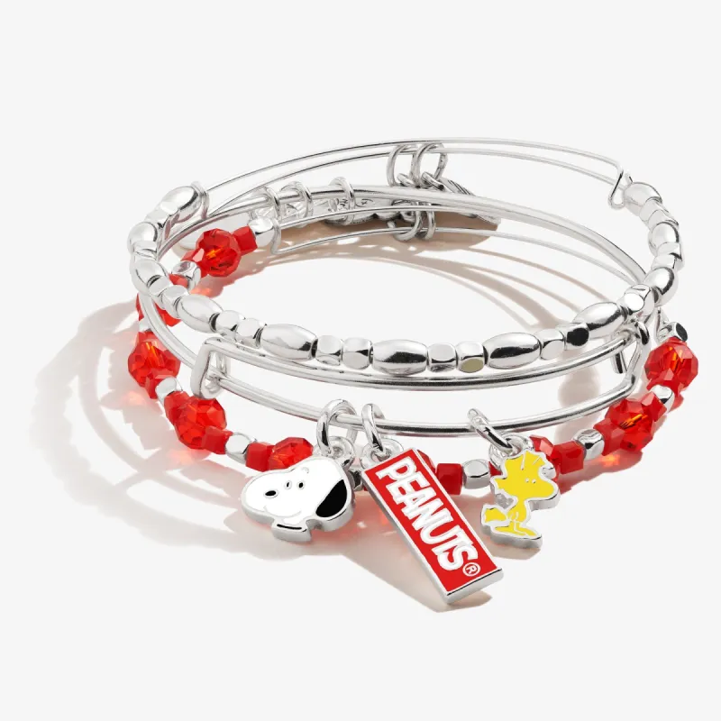 PEANUTS™ Snoopy + Woodstock Charm Bangles, Set of 3 sold by Alex and Ani