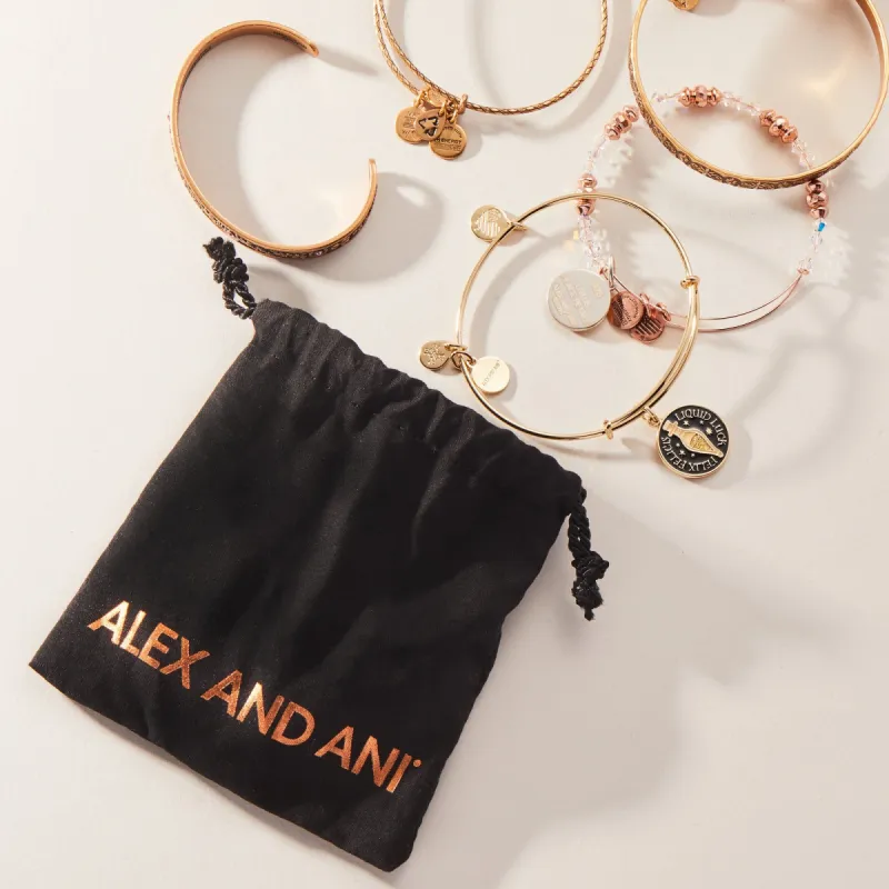 Trend Jewelry Mystery Bag made by Alex and Ani