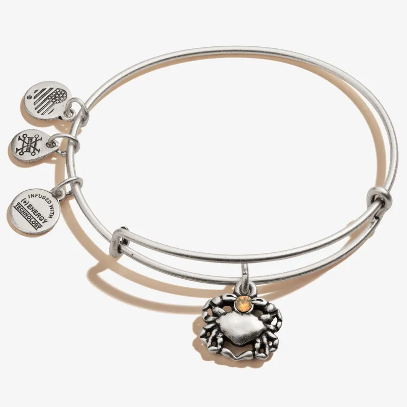 Crab Charm Bangle sold by Alex and Ani