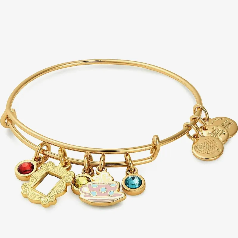 FRIENDS™ Frame + Coffee Mug Charm Bangle sold by Alex and Ani