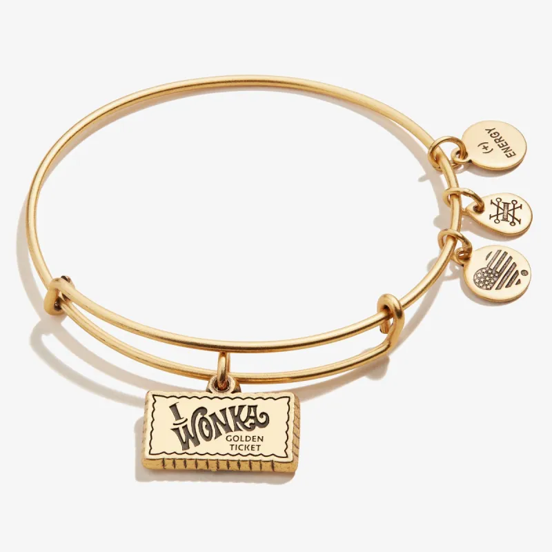 Willy Wonka Golden Ticket Charm Bangle sold by Alex and Ani