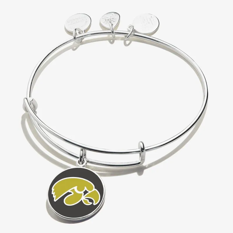 University of Iowa Logo Charm Bangle sold by Alex and Ani
