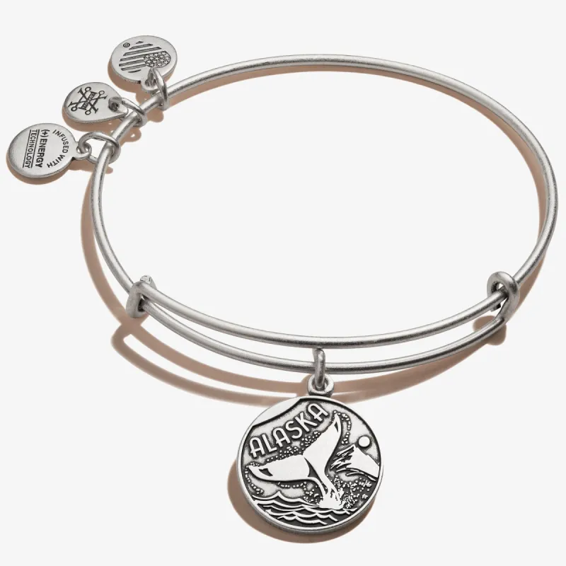 Alaska Charm Bangle sold by Alex and Ani