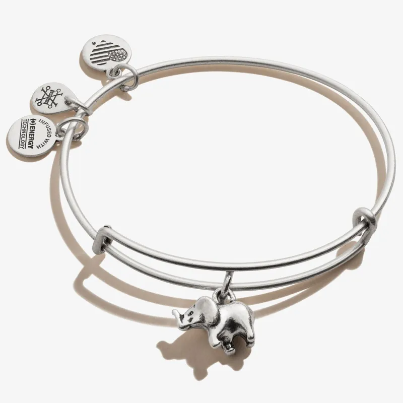 3D Elephant Charm Bangle sold by Alex and Ani