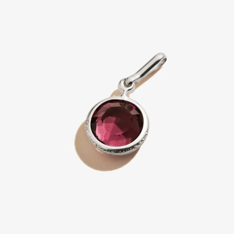 Amethyst Birthstone Charm, February sold by Alex and Ani