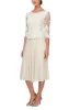 Petite Embroidered Tulle Dress with Illusion Sleeves & Scallop Trim sold by Alex Evenings