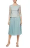 Petite Embroidered Tulle Dress with Illusion Sleeves & Scallop Trim sold by Alex Evenings
