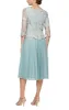 Petite Embroidered Tulle Dress with Illusion Sleeves & Scallop Trim sold by Alex Evenings