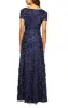 Rosette A-Line Gown with Sequin Detail & Short Illusion Sleeves sold by Alex Evenings