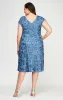 Plus Cocktail Dress in Rosette Lace with Cap Sleeves sold by Alex Evenings