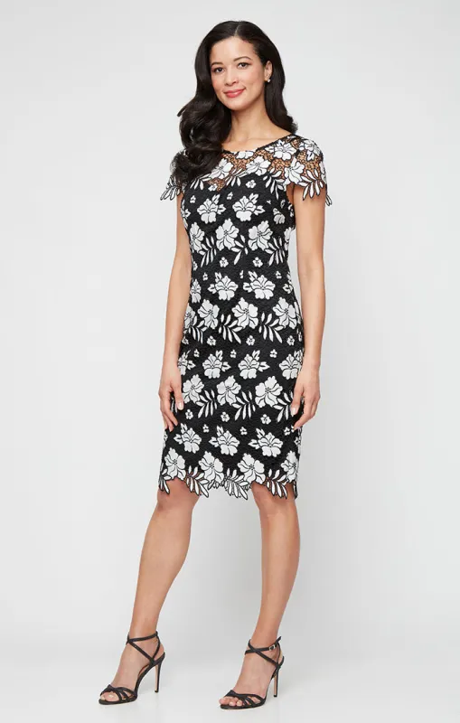 Regular - Embroidered Lace Dress with Illusion Neckline, Short Sleeves and Scallop Detail sold by Alex Evenings