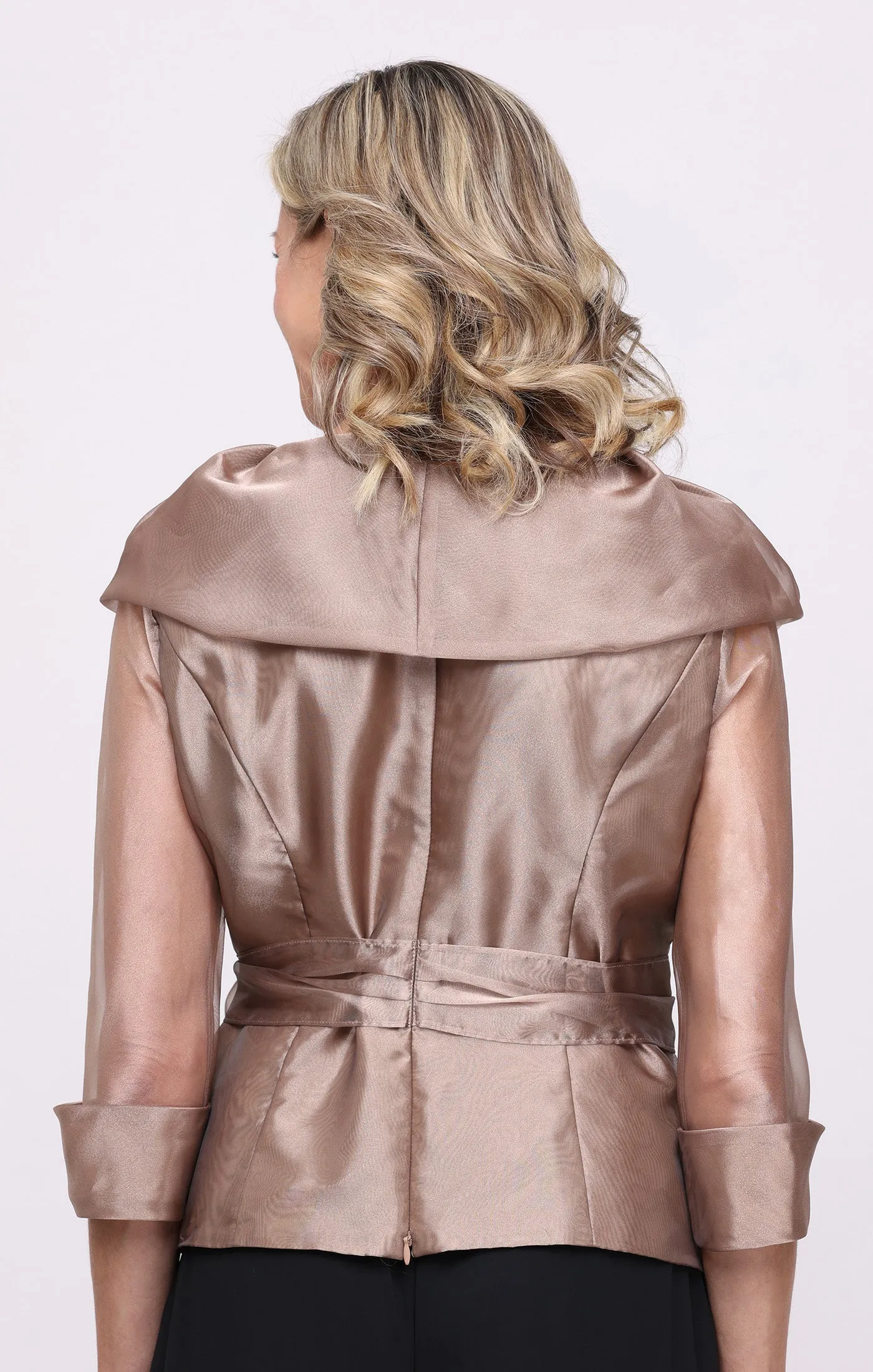 Petite Organza Portrait Collar Blouse sold by Alex Evenings product image thumbnail 4
