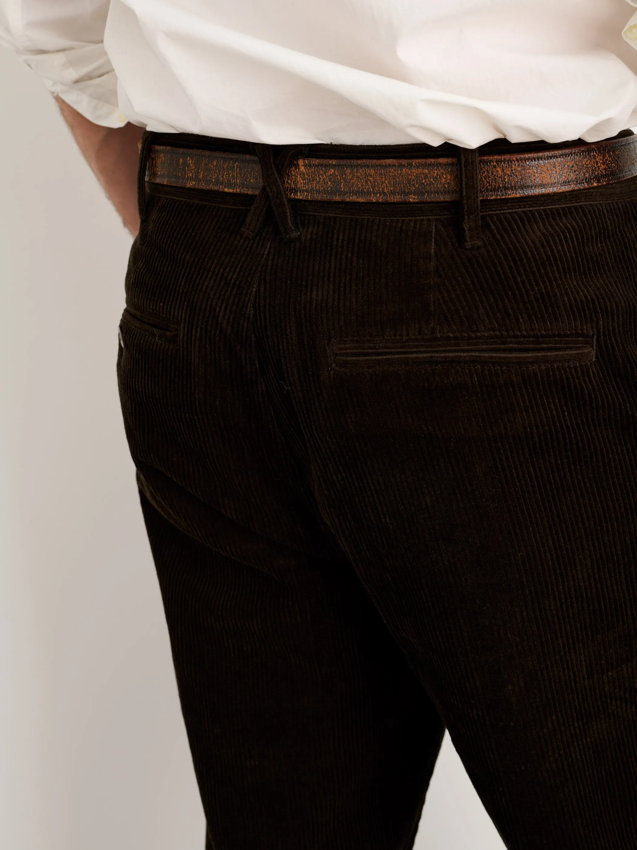 Standard Pleated Pant in Corduroy (Long Inseam) sold by Alex Mill product image thumbnail 5