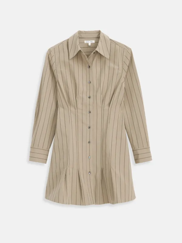 Camille Striped Shirtdress In Cotton Poplin sold by Alex Mill