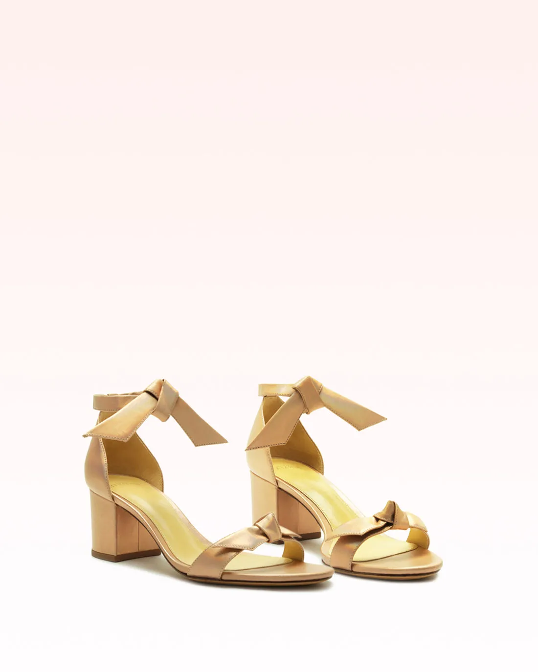 Clarita Block 60 Metallic Champagne sold by Alexandre Birman product image thumbnail 2