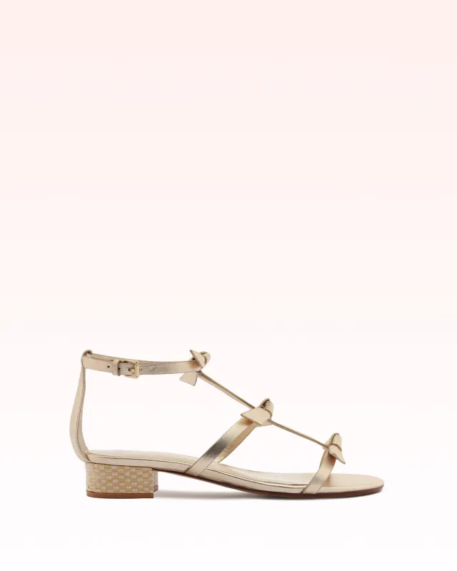 Slim Lolita Raffia 30 Golden sold by Alexandre Birman