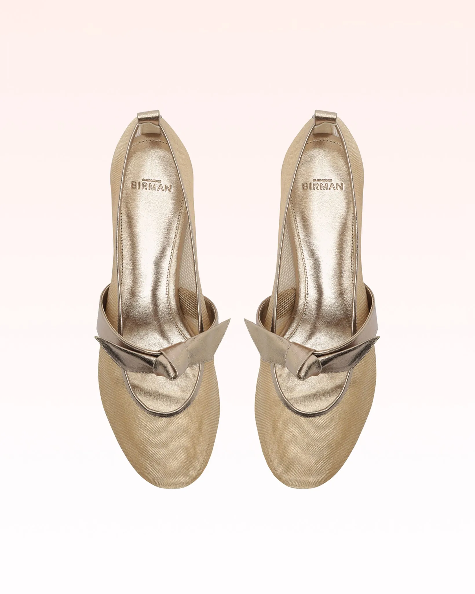 Clarita Ballerina 15 Luna sold by Alexandre Birman product image thumbnail 5
