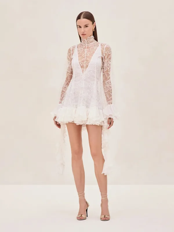 Aliya Dress sold by Alexis