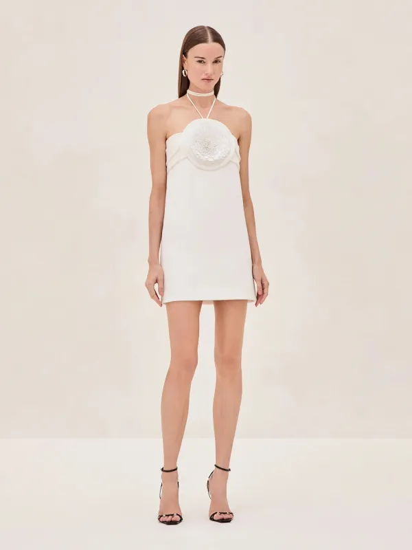 Liss Dress sold by Alexis