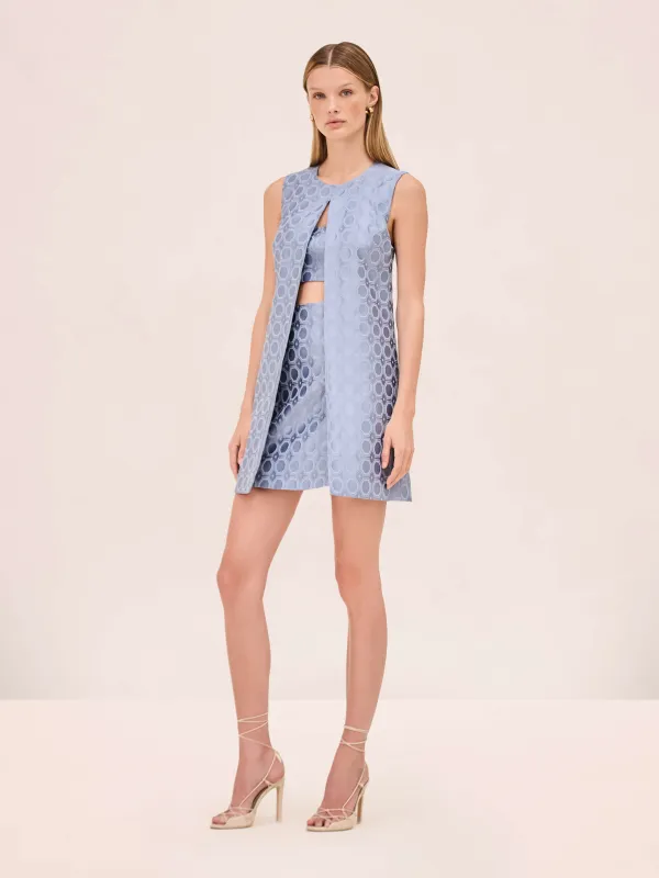 Asha Dress sold by Alexis