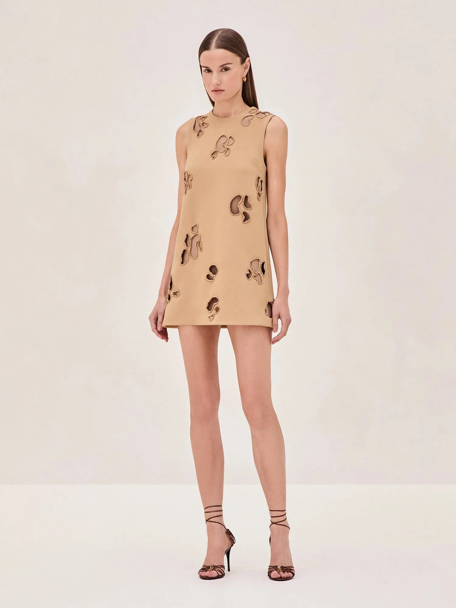 Ali Dress sold by Alexis