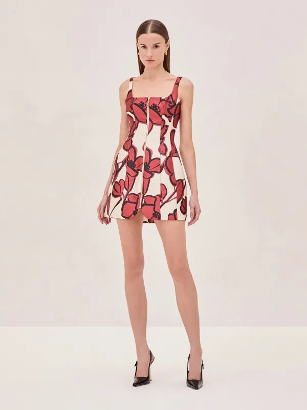 Claire Dress sold by Alexis