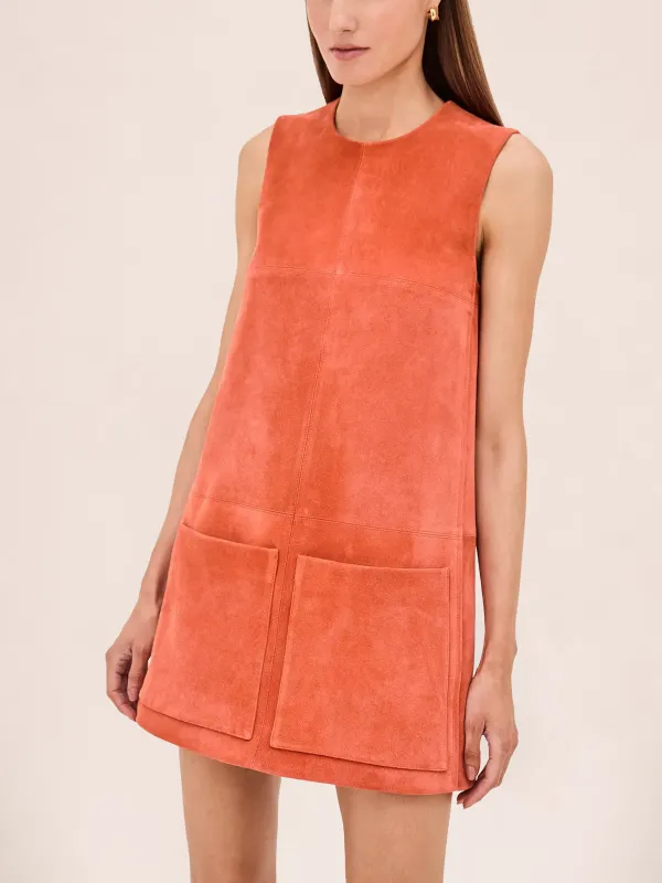 Dakota Dress sold by Alexis